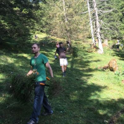 Bild107